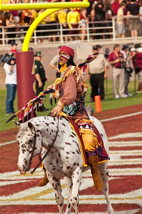 Seminoles Mascot at FSU football game. | Fsu football, Fsu football game, Florida state college