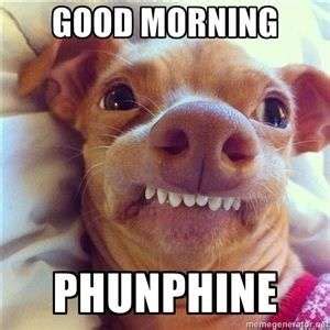 Best Good morning funny dog image | goodmorningpics.com