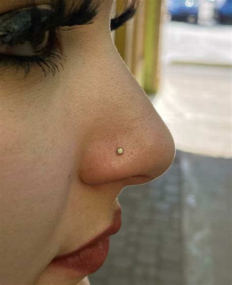 Is Your Nose Piercing Sinking Into Hole - Don't Panic We Are Here To Help!