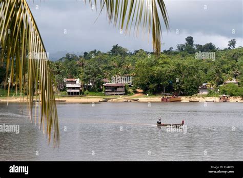 France, French Guiana, Parc Amazonien de Guyane (Guiana Amazonian Park), pirogue on the Lawa ...