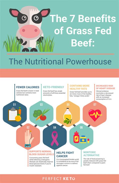 The 7 Benefits of Grass Fed Beef: The Nutritional Powerhouse