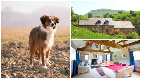 Top 10 Dog-Friendly Cottages for a UK Break | Oliver's Travels