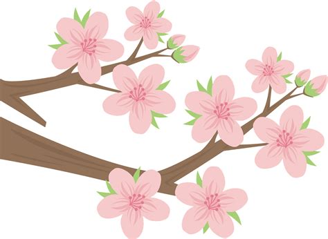 Cherry Blossom Tree Branch Clip Art