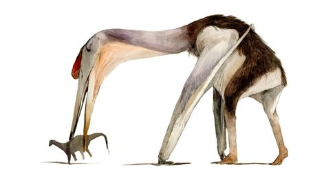 Hatzegopteryx by Guindagear on DeviantArt