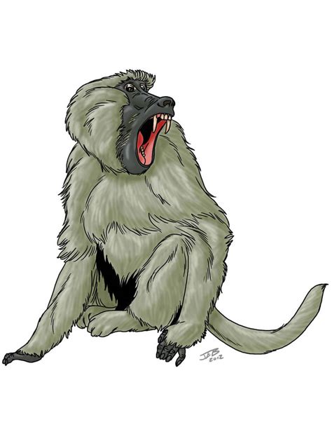 Baboon by ProdigyDuck on DeviantArt