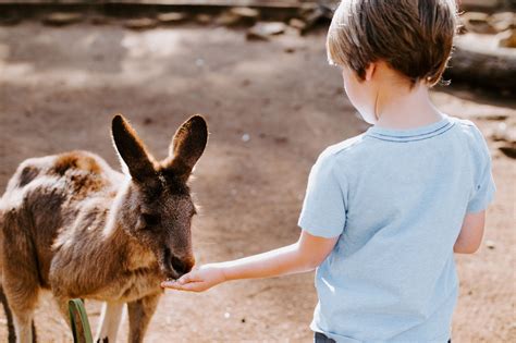 Kid-Friendly Outdoor Activity Spots in Eagan - The Gardner School