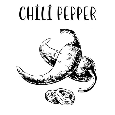 Sketch hand drawn chili pepper | Premium Vector