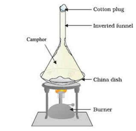 what is sublimation?Draw a labelled diagram showing sublimation of camphor - Brainly.in