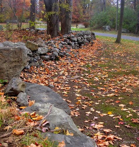 "Scattered Leaves" by therinian | Redbubble