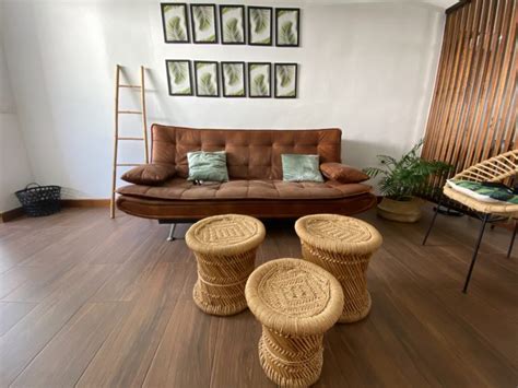 Is Bamboo Sustainable? All You Need to Know About Eco-Friendly Bamboo ...