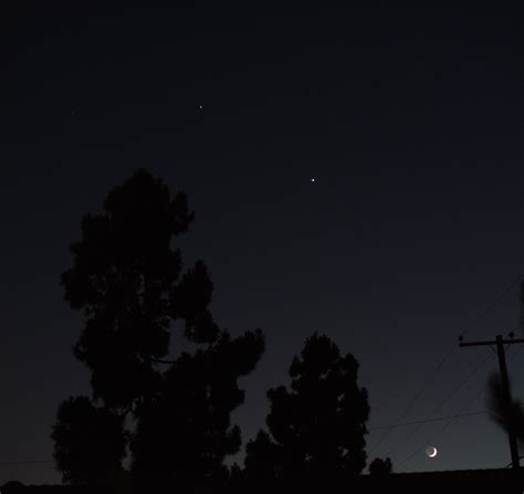 Luminaries on All Sides: Jupiter, Venus, the Moon, and Belle… – Black Phoebe :: Ms. Jen