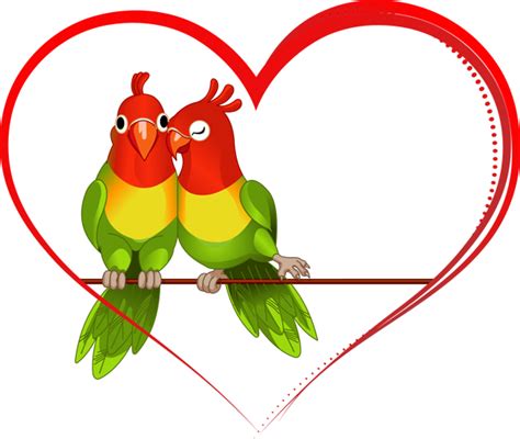 Love Birds PNG Transparent Images | PNG All