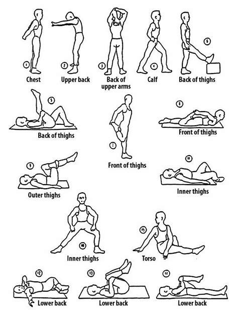 Pin by Ruben Bailey on stretching3 | Running stretches, Stretches for runners, Exercise