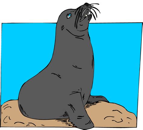 Sea Lion Clip Art Clipart Free Download Clipart Best - vrogue.co