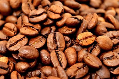 Robusta Coffee Beans Manufacturers | Robusta Coffee Beans Suppliers ...