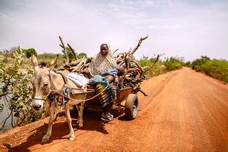Donkey cart | A woman drives a donkey cart loaded with firew… | Flickr