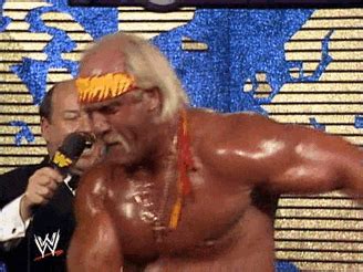 Hulk Hogan Wwe GIF - Find & Share on GIPHY