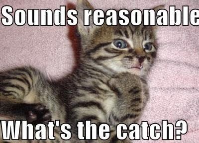 Everyday Idioms!!!: What's the catch?