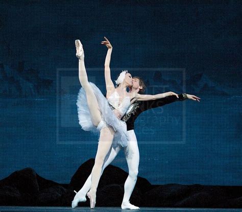 http://cdn.c.photoshelter.com/img-get/I0000z6jR0Hk5eRY/s/750/750/SwanLake37.jpg | Ballet dance ...