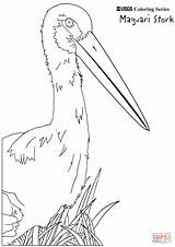 Bocian Druku Stork Ausmalbilder Kolorowanka Bociany Wydruku Obrazek  sketch template