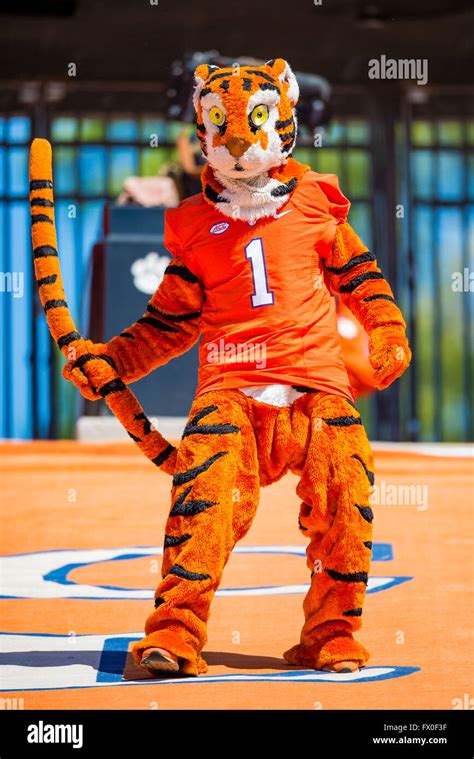 The Clemson Tiger Mascot during the Clemson Football Spring Game Stock ...