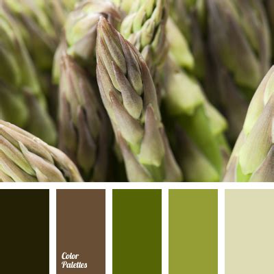 olive-green | Page 5 of 7 | Color Palette Ideas