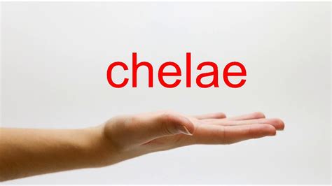 How to Pronounce chelae - American English - YouTube