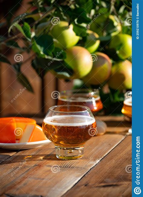 Food and Drink Pairing, Apple Cider Produced on Organic Farm from Bio Apples in Normandy, France ...