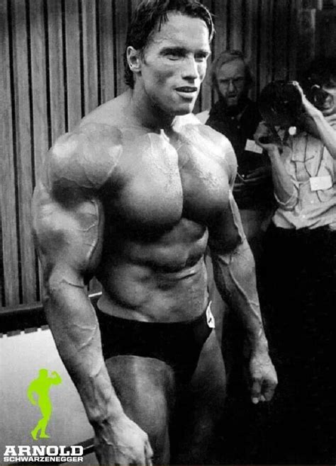 ARNOLD | Arnold schwarzenegger bodybuilding, Schwarzenegger ...