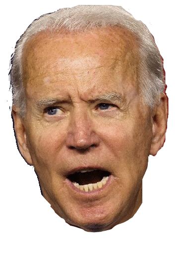 Joe Biden PNG transparent image download, size: 369x516px