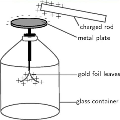 what is an electroscope ? explain it with picture . - Brainly.in