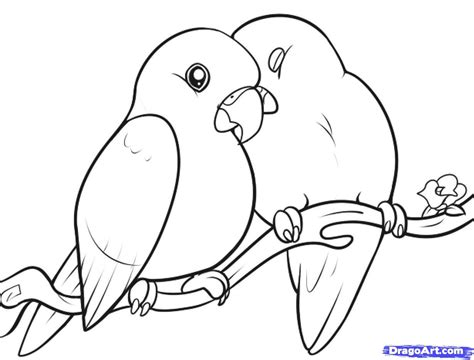 Pin by Jennifer Streigle on Tattoos | Love birds drawing, Bird drawings, Bird coloring pages