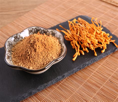 Cordyceps Sinensis Extract/ Militaris Extract, Polysaccharides 10-50% UV