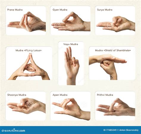 Set of 9 mudras stock image. Image of hindu, peace, mental - 77485349