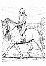 Horse Riding Coloring Pages At GetColoringscom  Free Printable sketch template