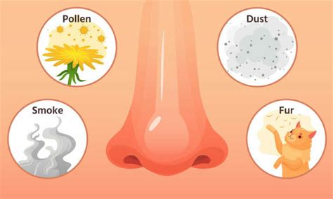 Dust Allergy | Symptoms | Home Remedies to Cure Naturally