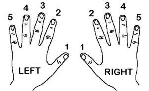 Hand Position on the Piano: Where and How to Do it Correctly | pianotels.com