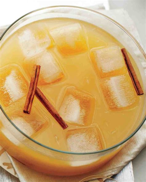 Spiced Rum Punch Recipe | Recipe | Punch recipes, Spiced rum, Rum punch recipes