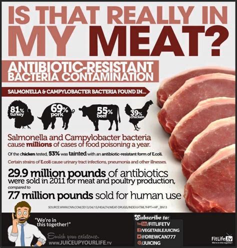 Why Eating Meat is Bad | Tom Hixon Reviews that Meat is bad for you! Go Veg