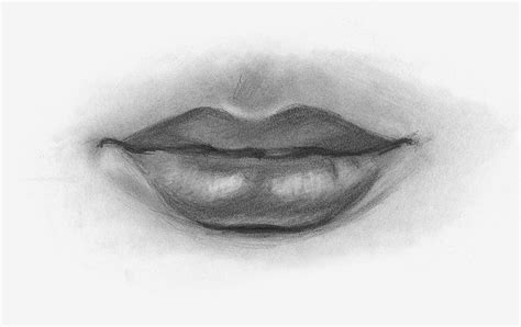 Realistic Smile Drawing at PaintingValley.com | Explore collection of ...