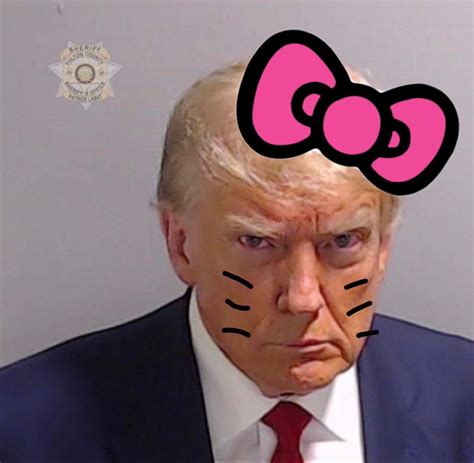 HEllo Kitty Trump | Donald Trump's Mugshot | Know Your Meme