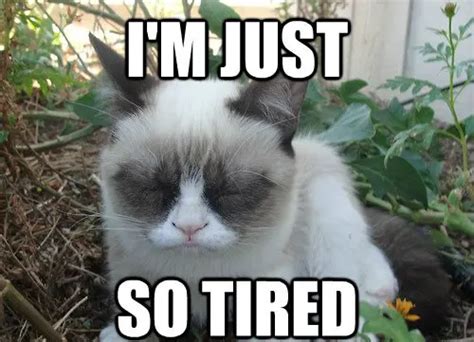 13 Accurate Memes About Being Tired That We Can All Relate To