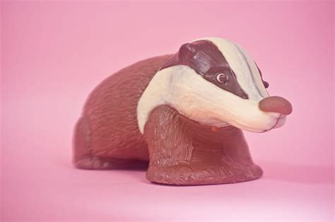 The best chocolate animals for Easter - in pictures