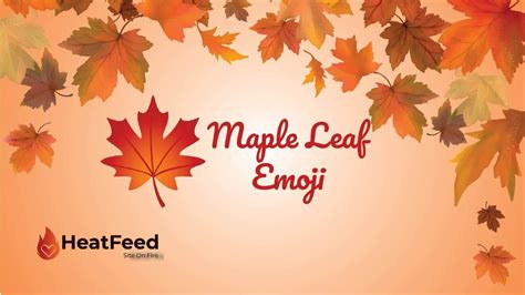 🍁 Maple Leaf Emoji-Meaning, Copy, ️ & Paste 📝