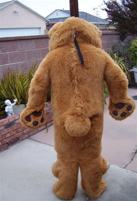 Squirrel Costume, Bear Costume, Bear Outfits, Mascot Costumes, Grizzly Bear, Fursuit, Bondage ...