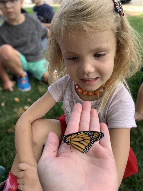 Kindergarten Butterflies | Sage Creek Elementary