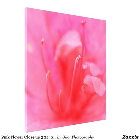 Pink Flower Close up 3 24" x 24" Canvas Wall Art | Canvas art prints, Flower close up, Art