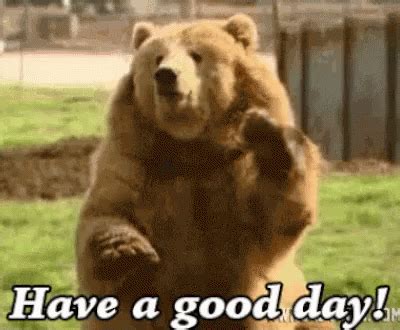 Have AGood Day GIF - HaveAGoodDay GIFs | Good day gif, Bear, Bear gif