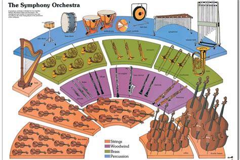 What is an Orchestra? — Skagit Symphony