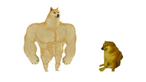 Swole Doge vs. Cheems | Know Your Meme